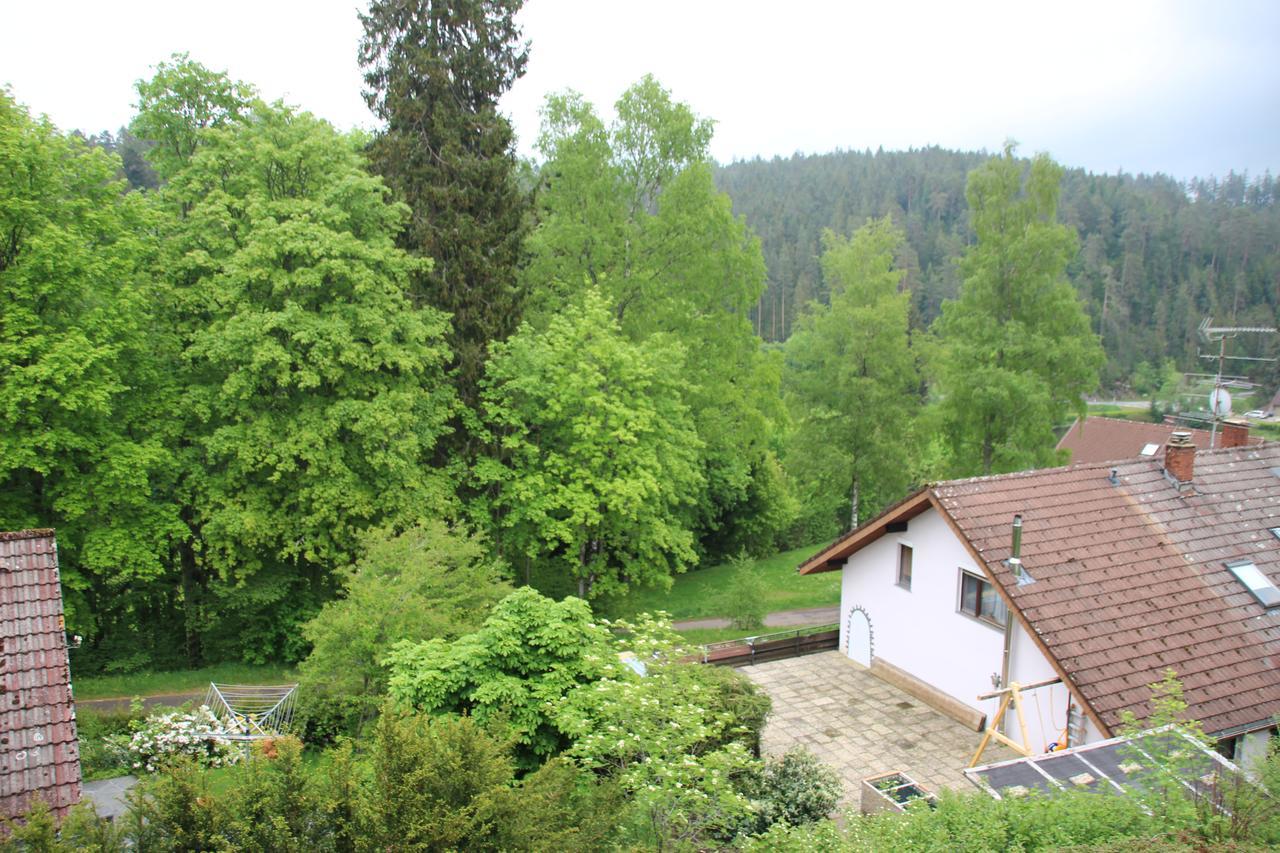 Kuckucksnester Friedenweiler Exterior foto